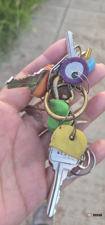 FOUND ITEM - Kaiau Avenue and Kamaaha Avenue, Kapolei, Oahu | SSH Search