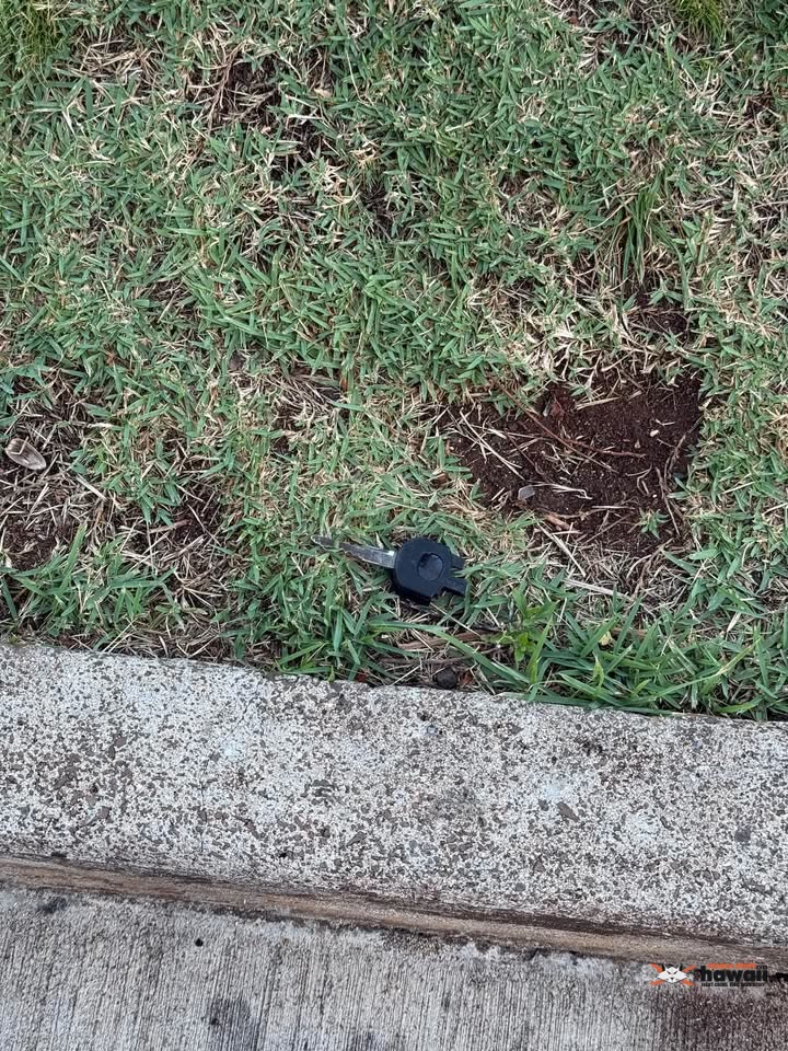 FOUND ITEM - Saratoga Road across from Ka La'i Hotel, Waikiki, Honolulu, Oahu | SSH Search
