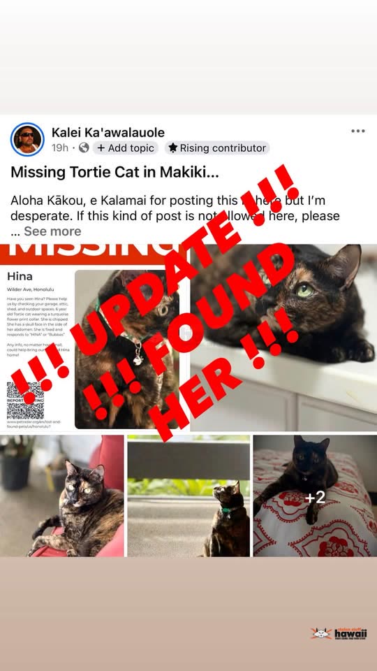 LOST PET - Unknown | SSH Search