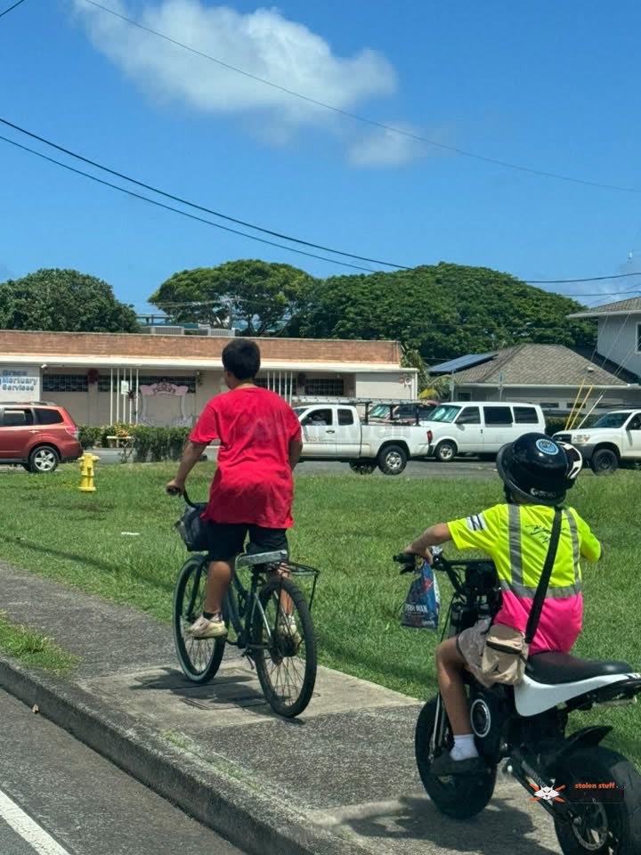 SAFETY ALERT - Halawa Heights | SSH Search