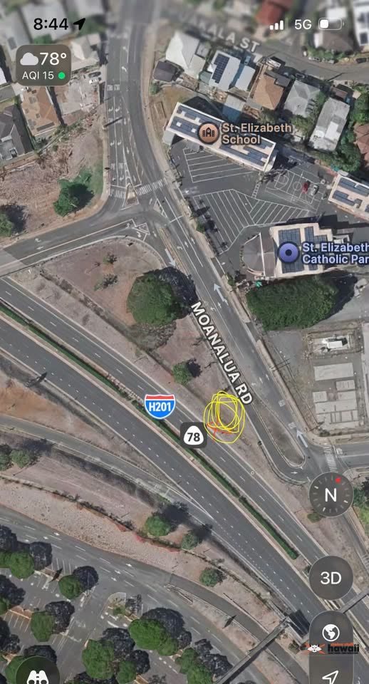 FOUND PET - H-201 Offramp, Oahu | SSH Search