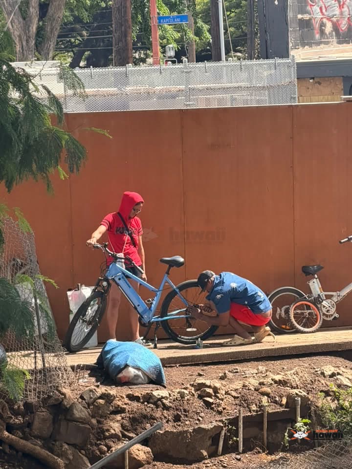 VEHICLE THEFT - Manoa Stream and South King Street, Honolulu, Oahu | SSH Search