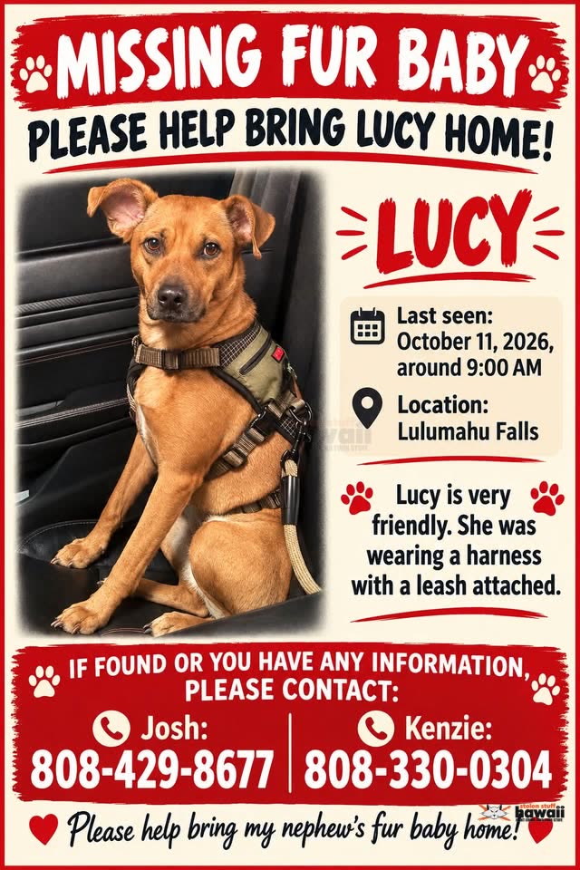 LOST PET - Lulumahu Falls, Honolulu | SSH Search