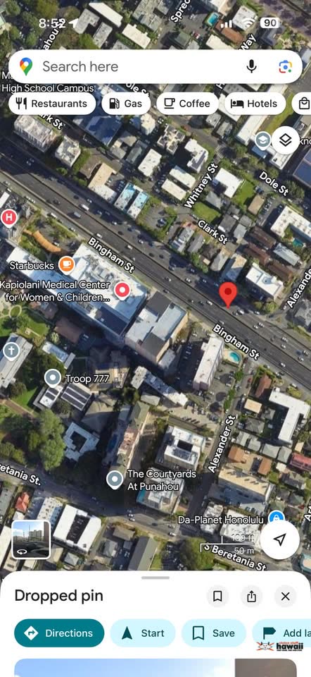 ANIMAL ABUSE - H-1 Freeway at Bingham Street, Honolulu | SSH Search