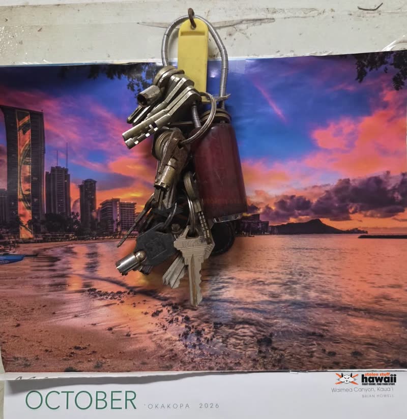 FOUND ITEM - Kapiolani Park, Honolulu | SSH Search