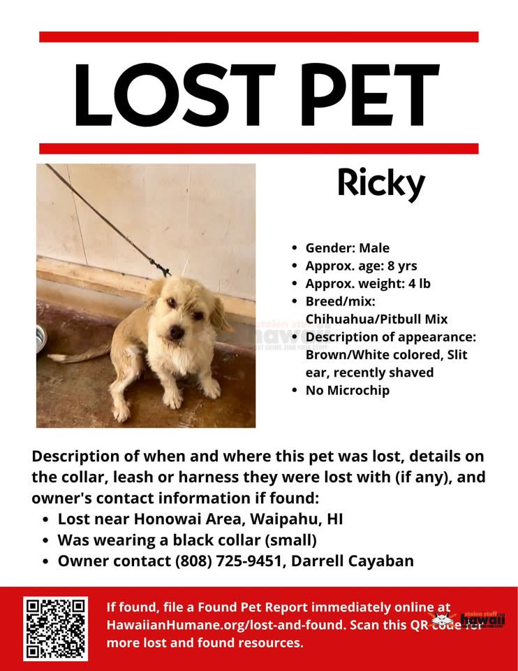 LOST PET - Honowai Street, Waipahu | SSH Search