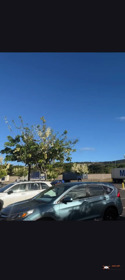 VEHICLE THEFT - Waianae | SSH Search