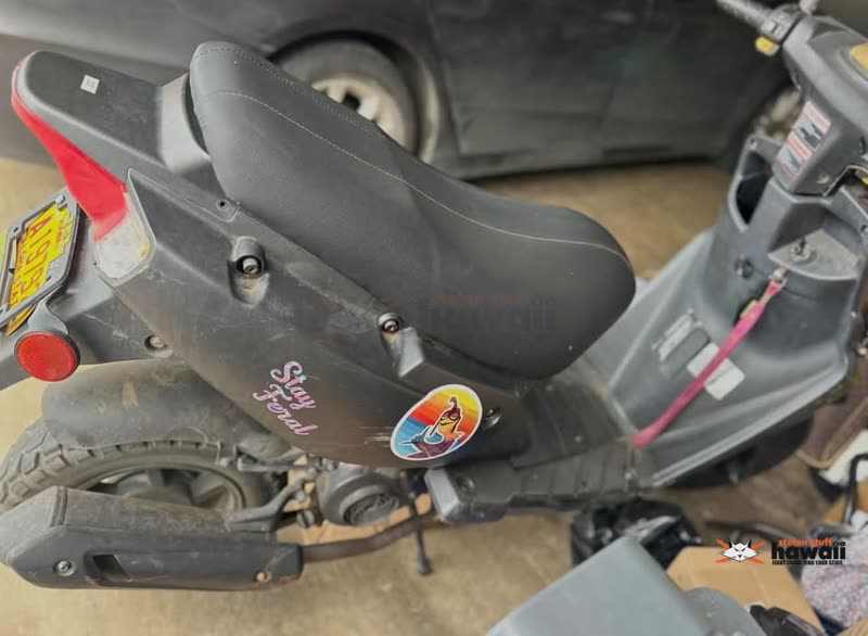 VEHICLE THEFT - Piliuka Place, Waianae | SSH Search