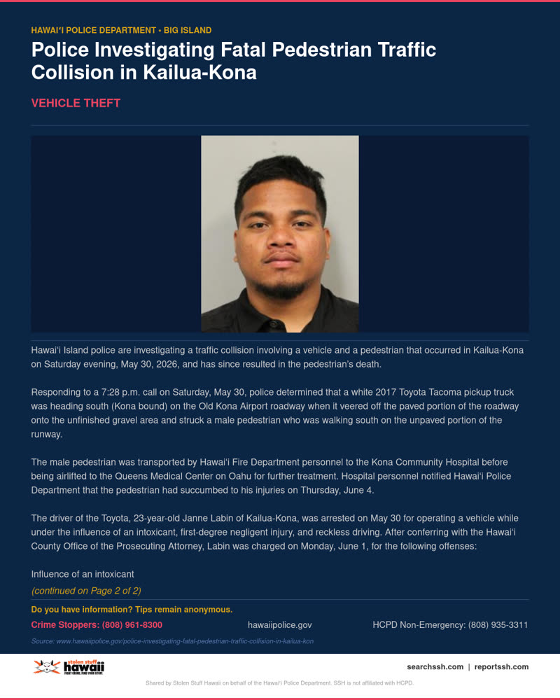 VEHICLE THEFT - Hawaii County | SSH Search