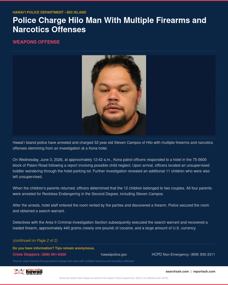 WEAPONS OFFENSE - Hawaii County | SSH Search
