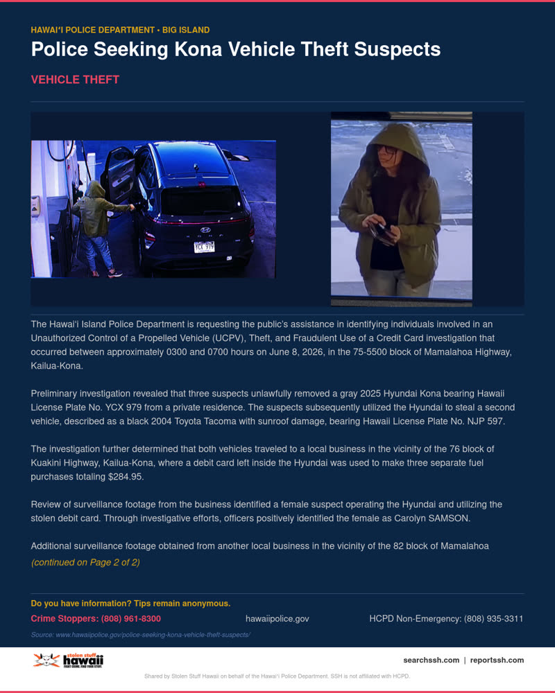 VEHICLE THEFT - Hawaii County | SSH Search