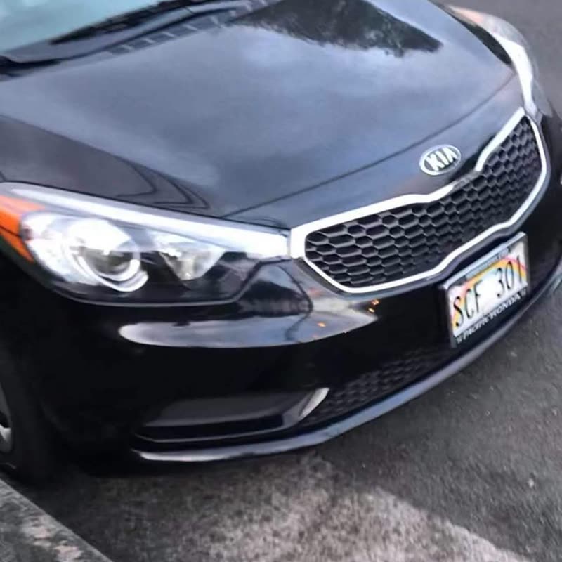 VEHICLE THEFT - Hawaii | SSH Search