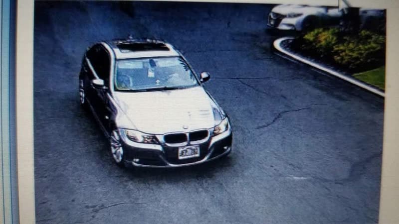 VEHICLE THEFT - Hawaii | SSH Search