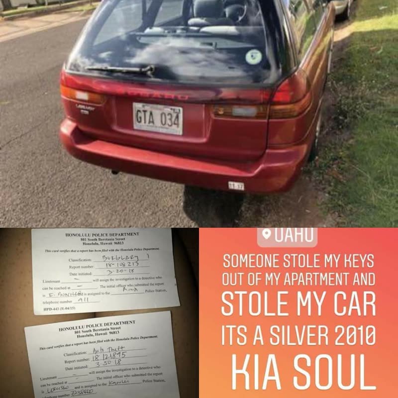 VEHICLE THEFT - Waena Apartments, Hawaii | SSH Search