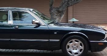 VEHICLE THEFT - Hawaii | SSH Search
