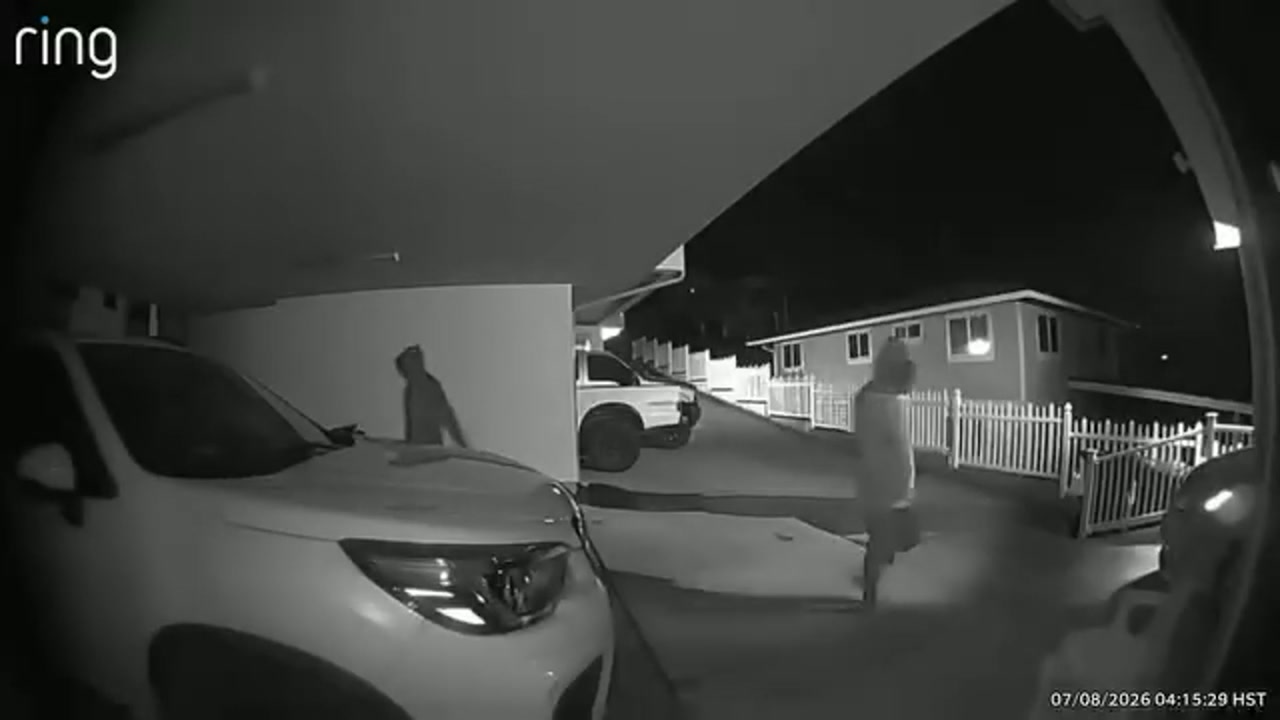 UEMV - Palolo | Stolen Stuff Hawaii