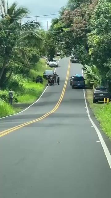 MURDER - Hawaii | Stolen Stuff Hawaii