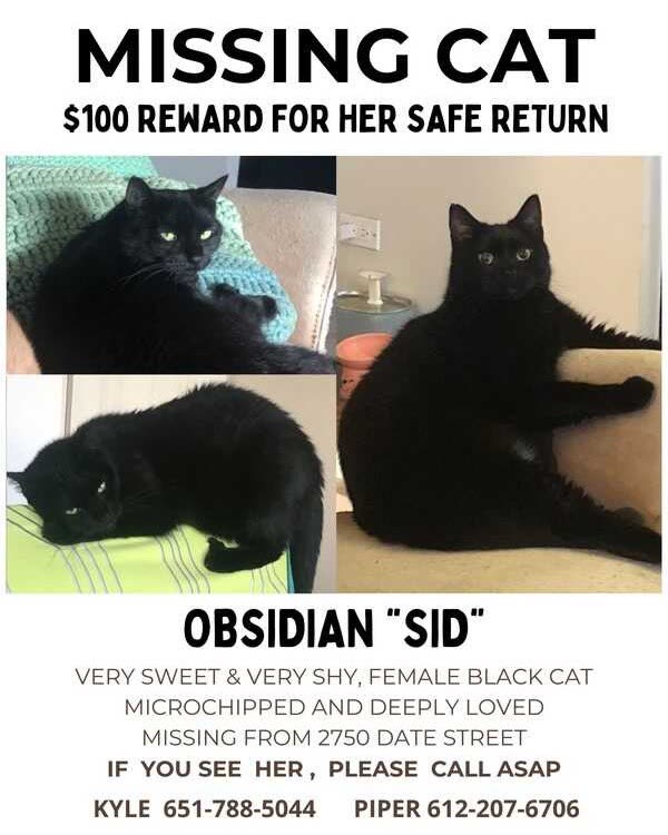 LOST PET - Oahu | SSH Search