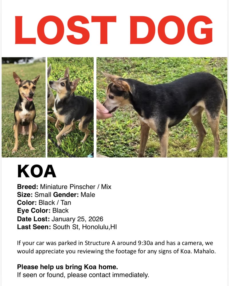 LOST PET - Oahu | SSH Search