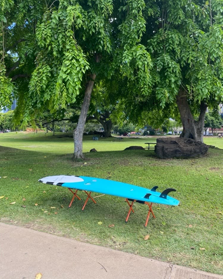 LOST ITEM - Ala Moana Beach Park | SSH Search