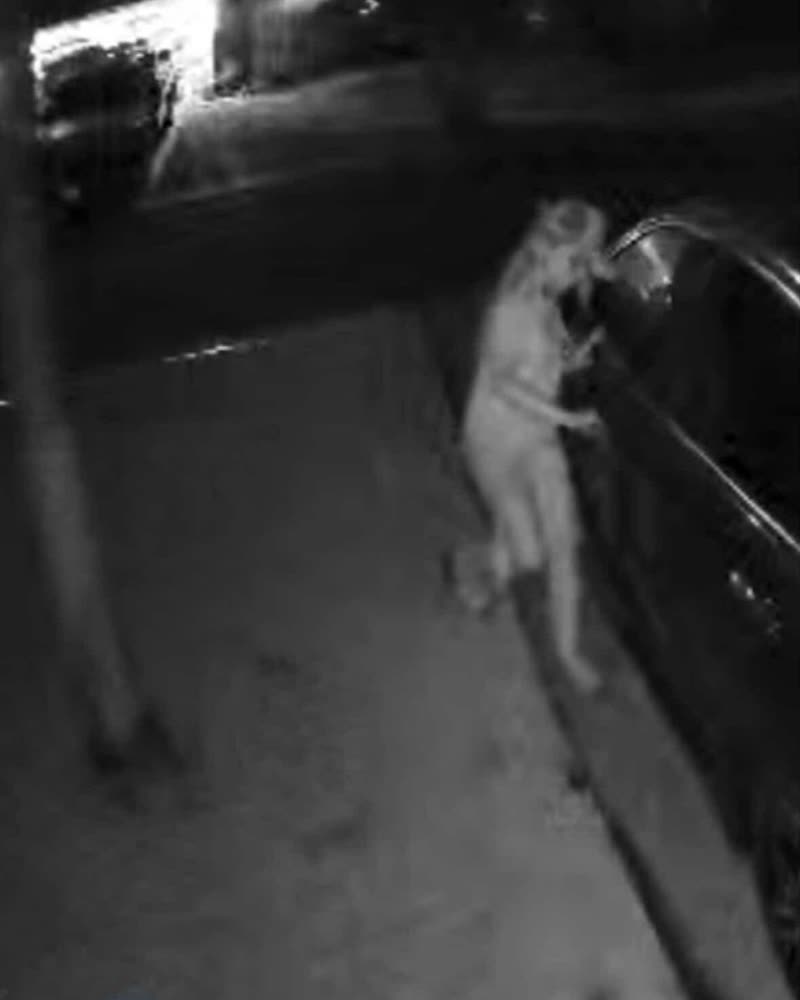 THEFT - Unknown | SSH Search
