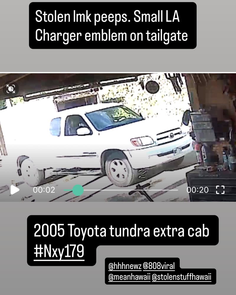 VEHICLE THEFT - Honolulu | SSH Search