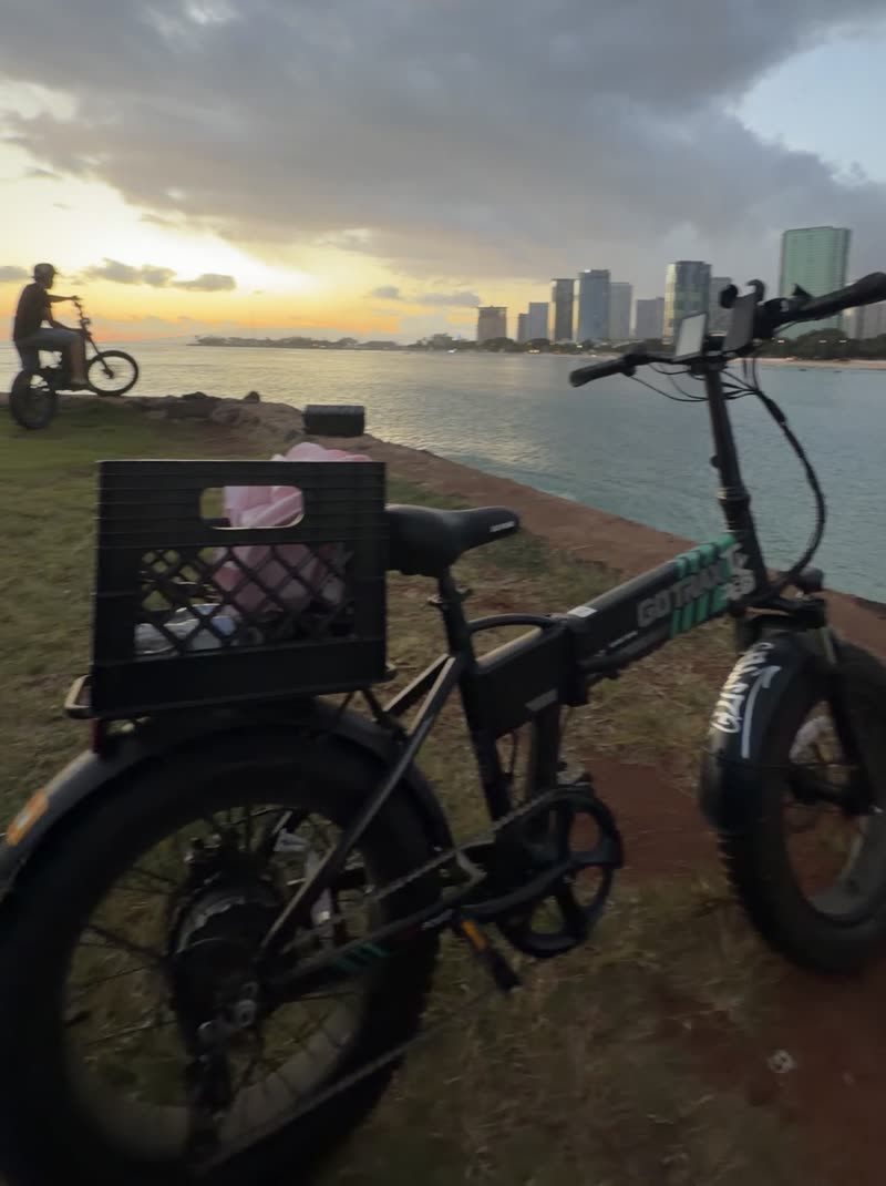 THEFT - Ala Moana | SSH Search