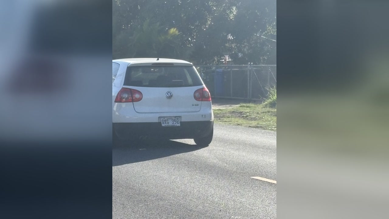 CRIMINAL PROPERTY DAMAGE - Lahaina St. | Stolen Stuff Hawaii