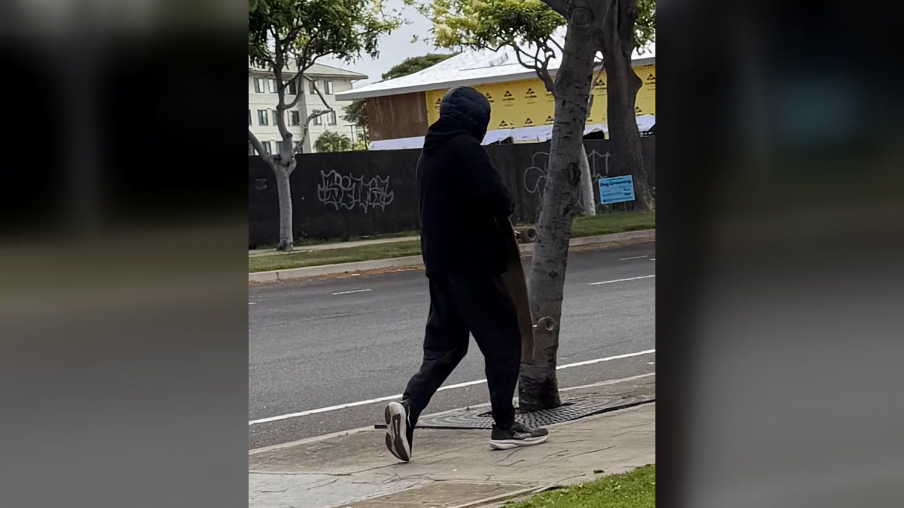 ATTEMPTED THEFT - Oahu | Stolen Stuff Hawaii