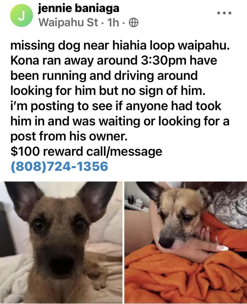 LOST PET - Waipahu | SSH Search