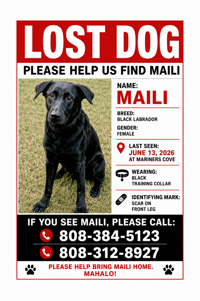 LOST PET - Mariners Cove | SSH Search