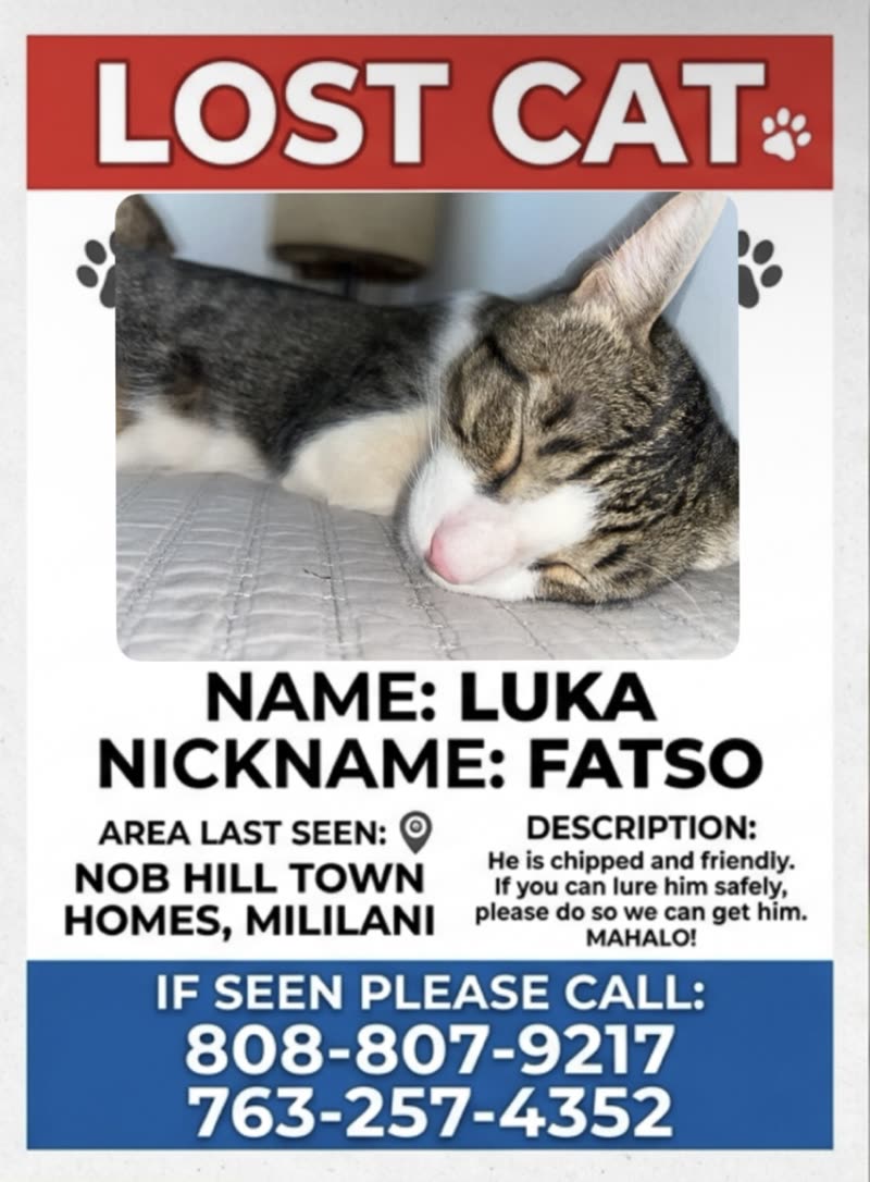 LOST PET - Unknown | SSH Search