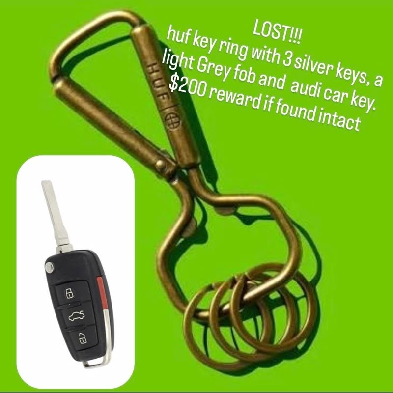 LOST ITEM - Unknown | SSH Search