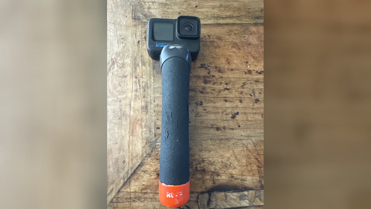 LOST ITEM - Waikiki | SSH Search