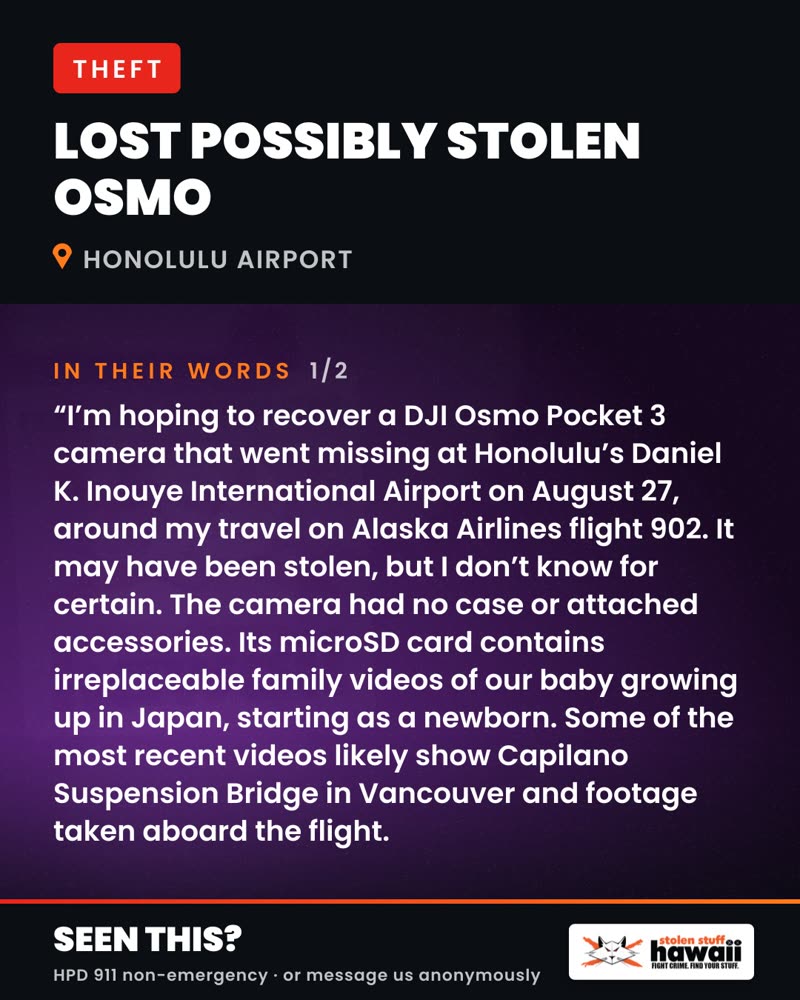 THEFT - Honolulu Airport | SSH Search