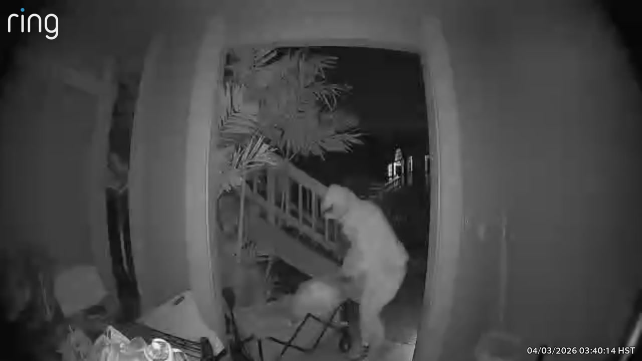 THEFT - Waipahu | Stolen Stuff Hawaii