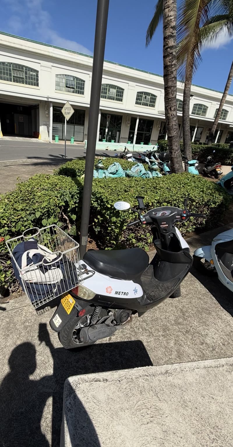 VEHICLE THEFT - Oahu | SSH Search