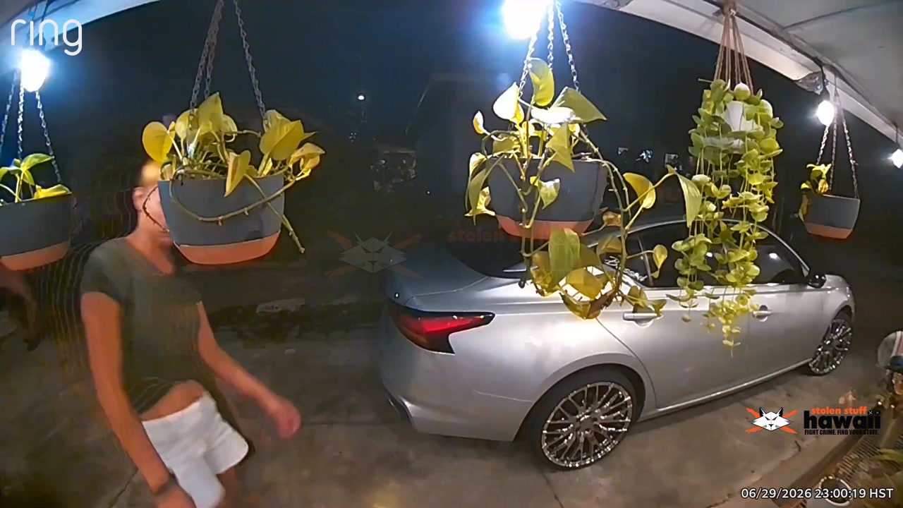 THEFT - Honolulu | Stolen Stuff Hawaii