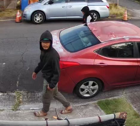 VEHICLE THEFT - Oahu | SSH Search