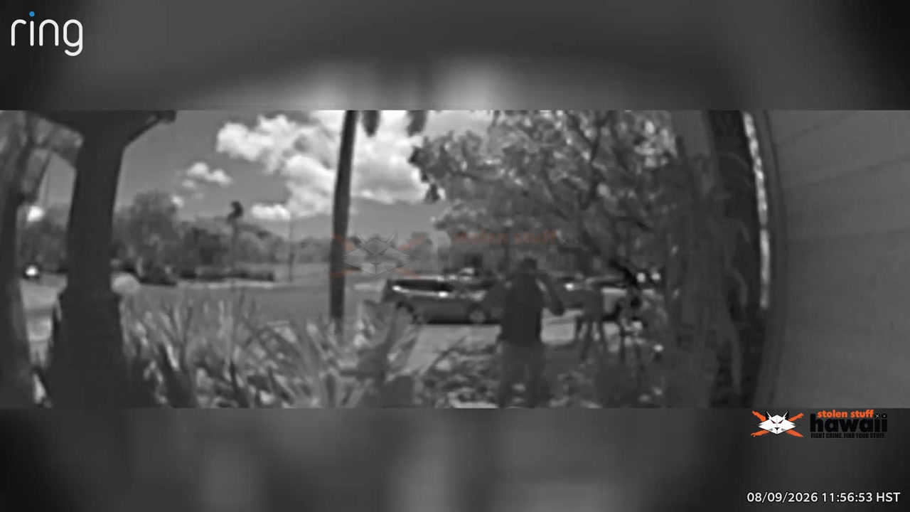 PACKAGE THEFT - Oahu | SSH Search