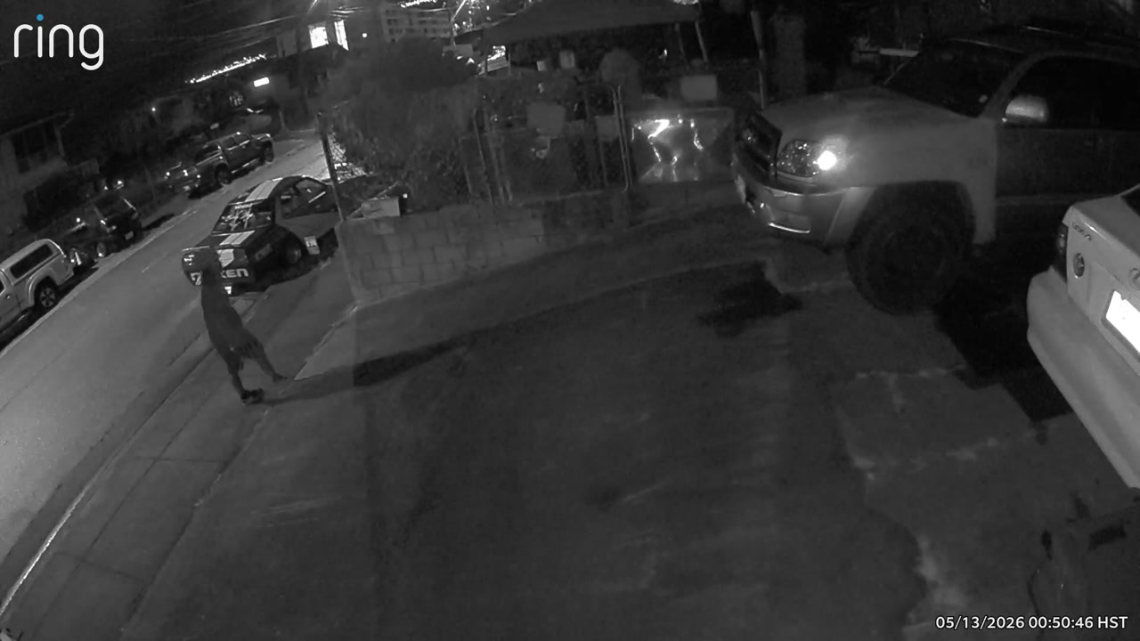 AWARENESS - Oahu | Stolen Stuff Hawaii