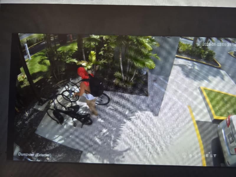 THEFT - Kamakana Taco Bell | SSH Search