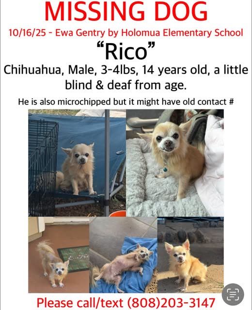 LOST PET - oahu | SSH Search
