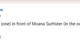 LOST ITEM - Oahu | SSH Search