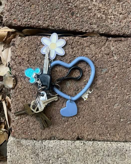 FOUND ITEM - Oahu | SSH Search
