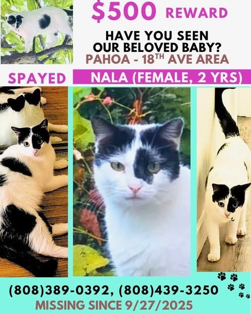LOST PET - Oahu | SSH Search