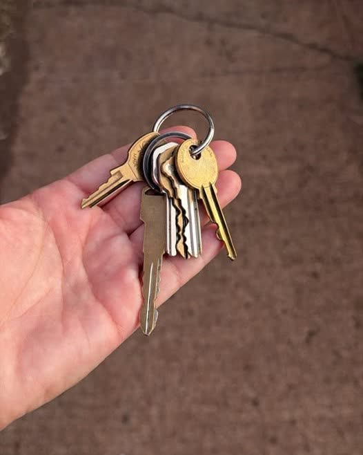FOUND ITEM - Oahu | SSH Search