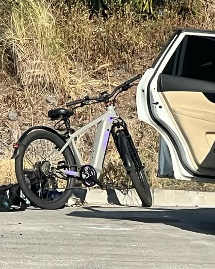 FOUND ITEM - Oahu | SSH Search