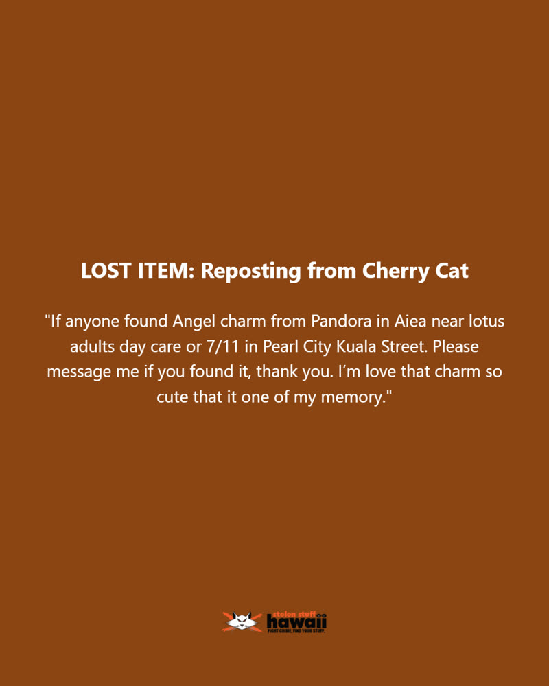 LOST ITEM - Oahu | SSH Search