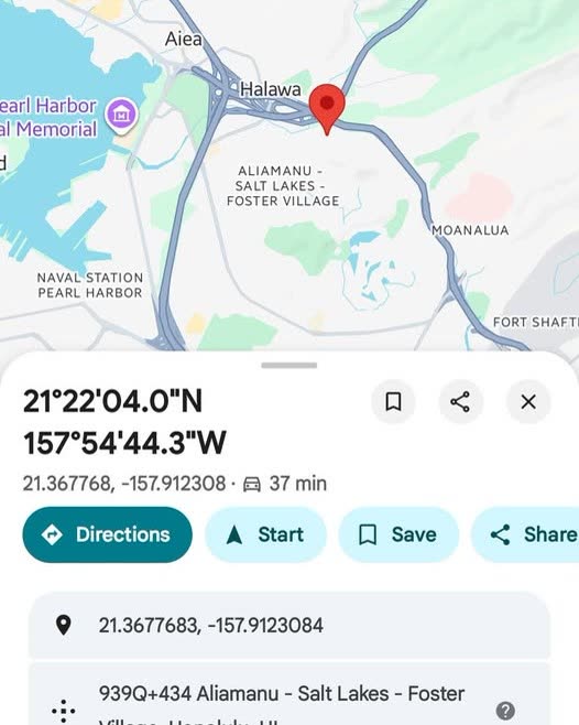 LOST ITEM - Oahu | SSH Search